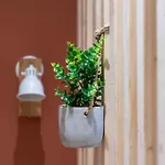 Cosy, Coeur De - Hyper Centre Apartman *