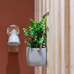 Cosy, Coeur De - Hyper Centre Apartman *